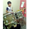 Rockstarz Drumology Drum Course (Private Lesson) by Rockstarz Performing Arts Studios